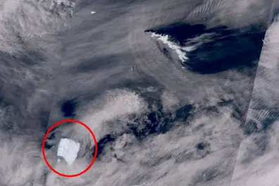 World's largest iceberg is on the move again | WATCH