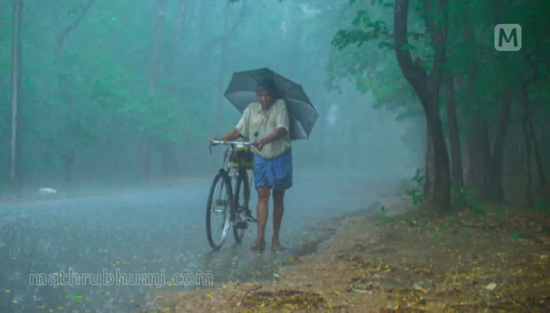 Representational Image. Photo: PP Ratheesh/Mathrubhumi