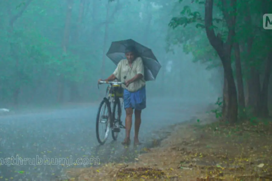 Kerala to receive heavy rainfall till July 28