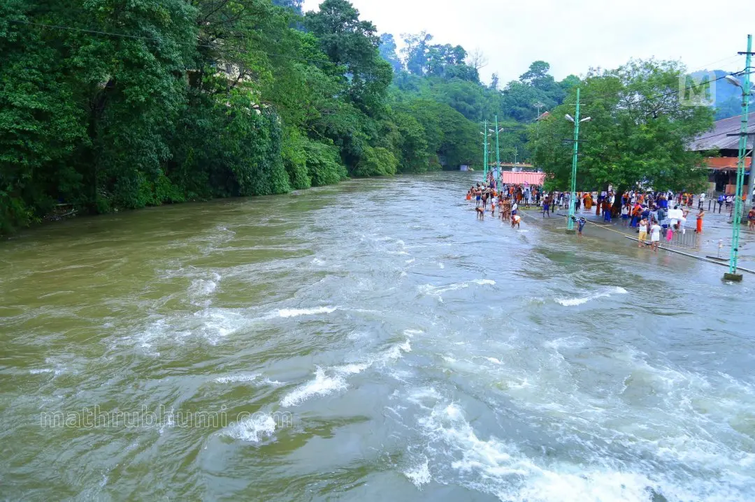 Pamba River | File Photo
