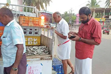 Malappuram market brims with fresh sardines – Grab your share today!