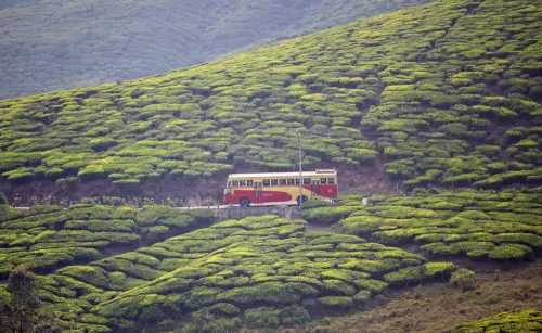 Representational image | Photo: Mathrubhumi