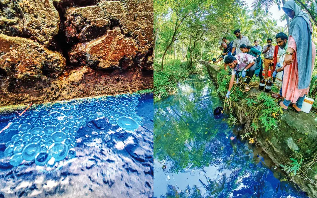 Diesel layer over water bodies | Photos: MBI