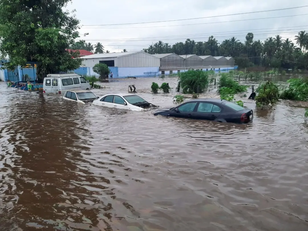 A flooded locality following heavy rains in the aftermath of Cyclone Fengal | Photo: PTI