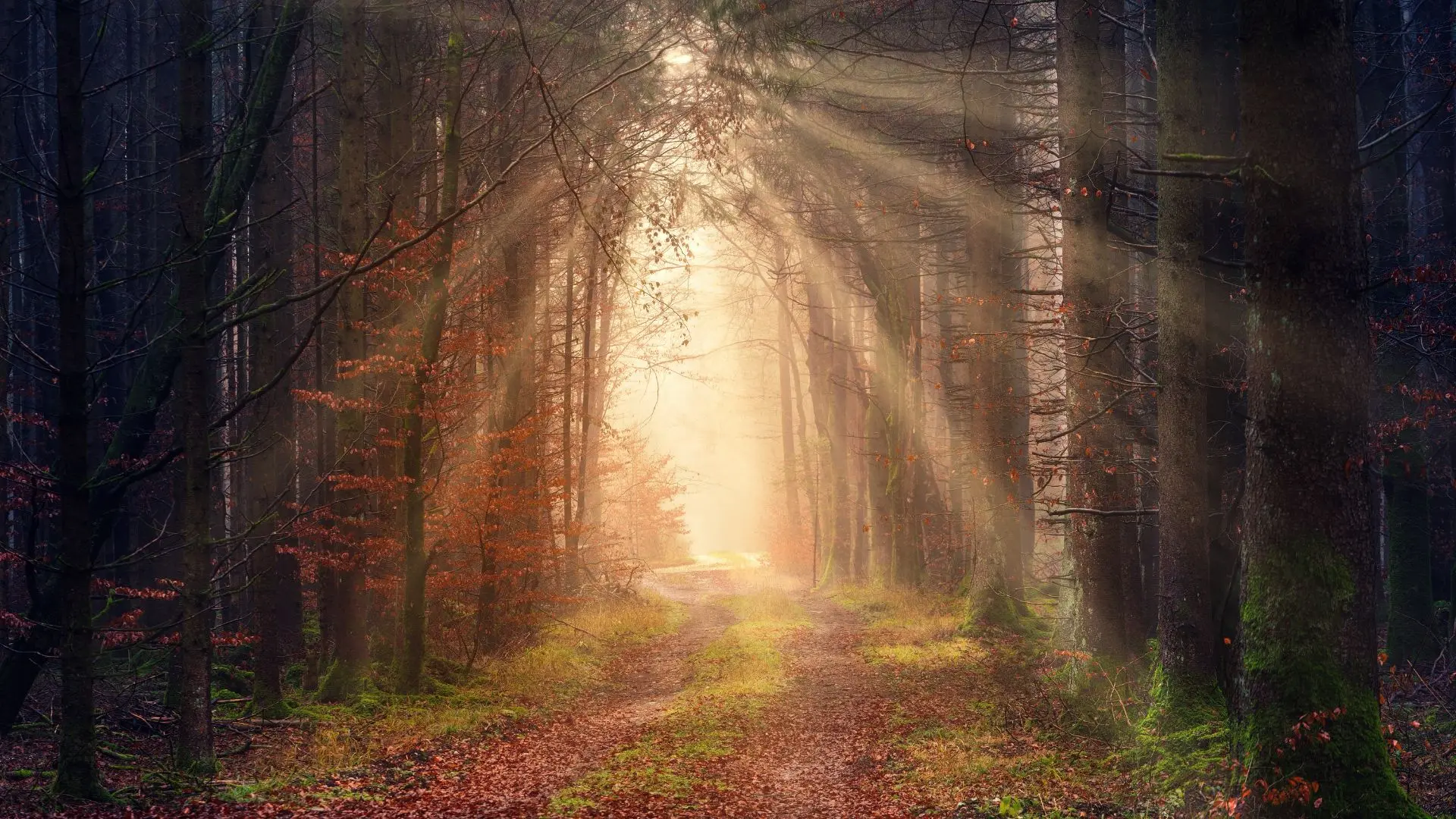 Representational Image | Canva