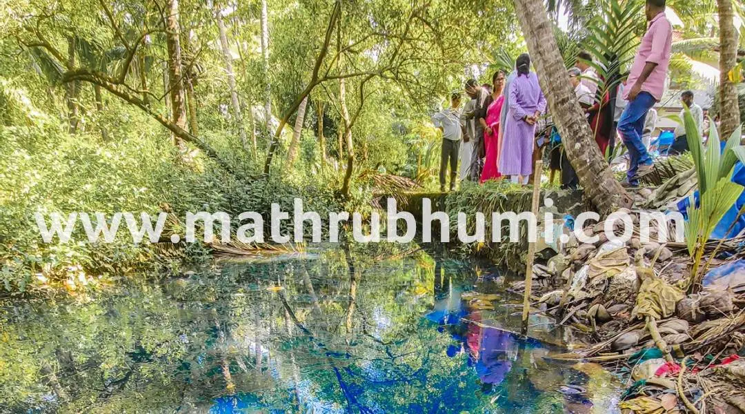Officials inspecting a contaminated water resource at Elathur in Kozhikode after the fuel leak from the HPCL.