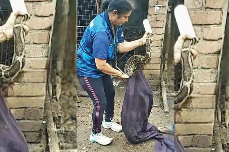 The Serpent Keepers: Meet the women leading Kerala’s snake rescue operations