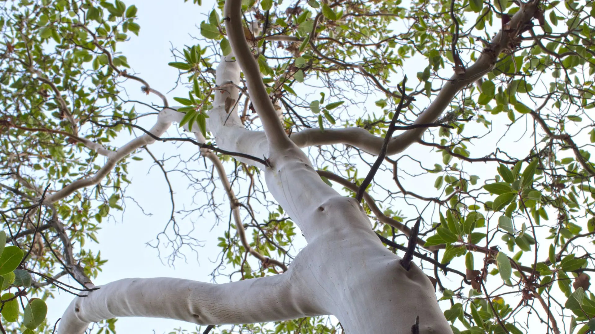 Representational Image | Canva