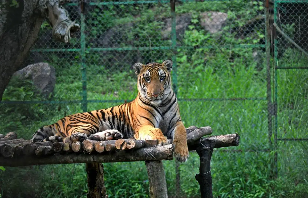 Representational Image | Photo: ANI