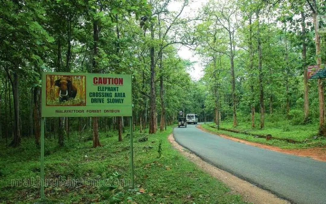 Representational Image | Photo: Anu Prasanth/Mathrubhumi