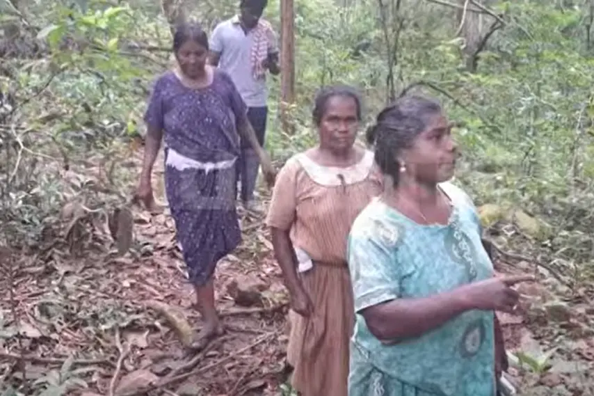 ‘Hid in a tree trunk…’ Women survive harrowing 14-hr ordeal in forest after encountering elephant