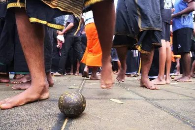 Rolling coconuts and sprinkling turmeric powder at Malikappuram not rituals, can't allow: Kerala HC