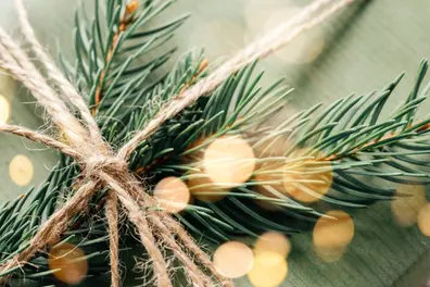No firecrackers, just green cheer: Kerala Marthoma Church's eco-friendly Christmas plan