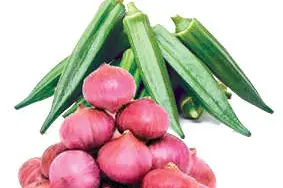 Prices of onions and beans come down, ladyfinger and carrots go up