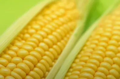 Health Benefits of CORN