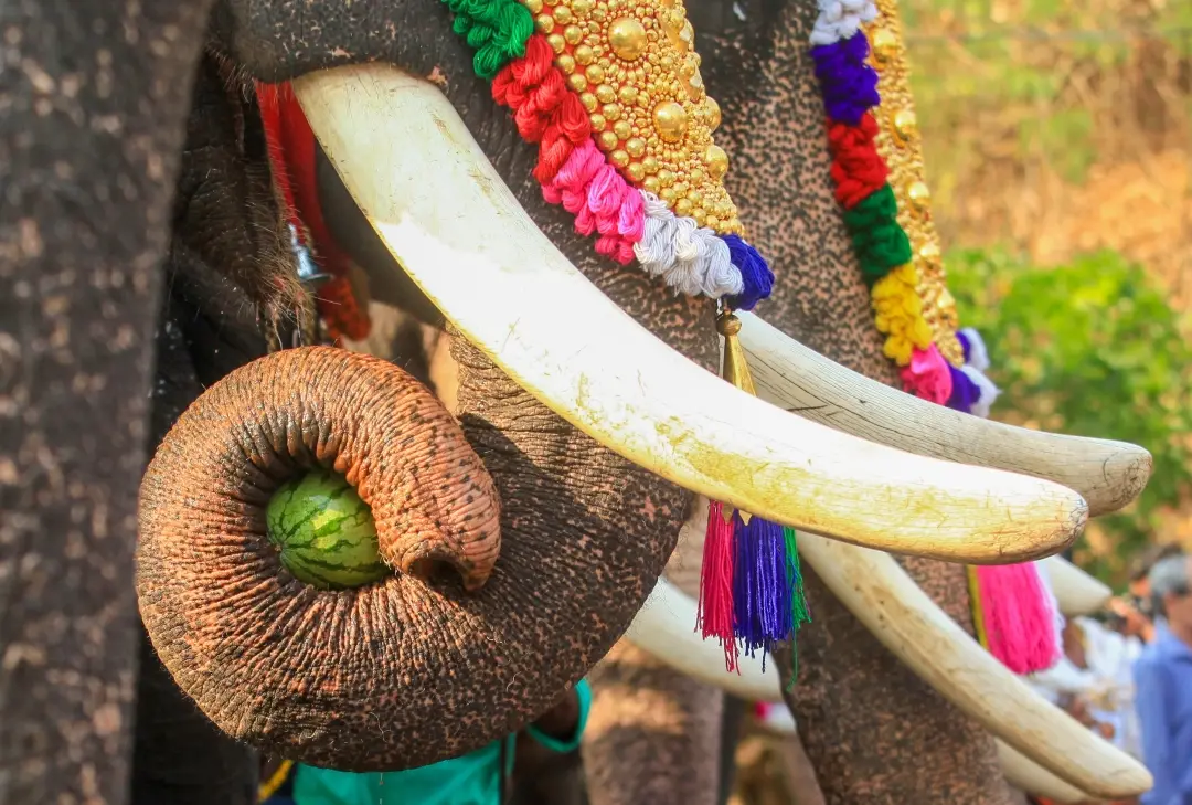 Representational Image | Photo: Akhil ES