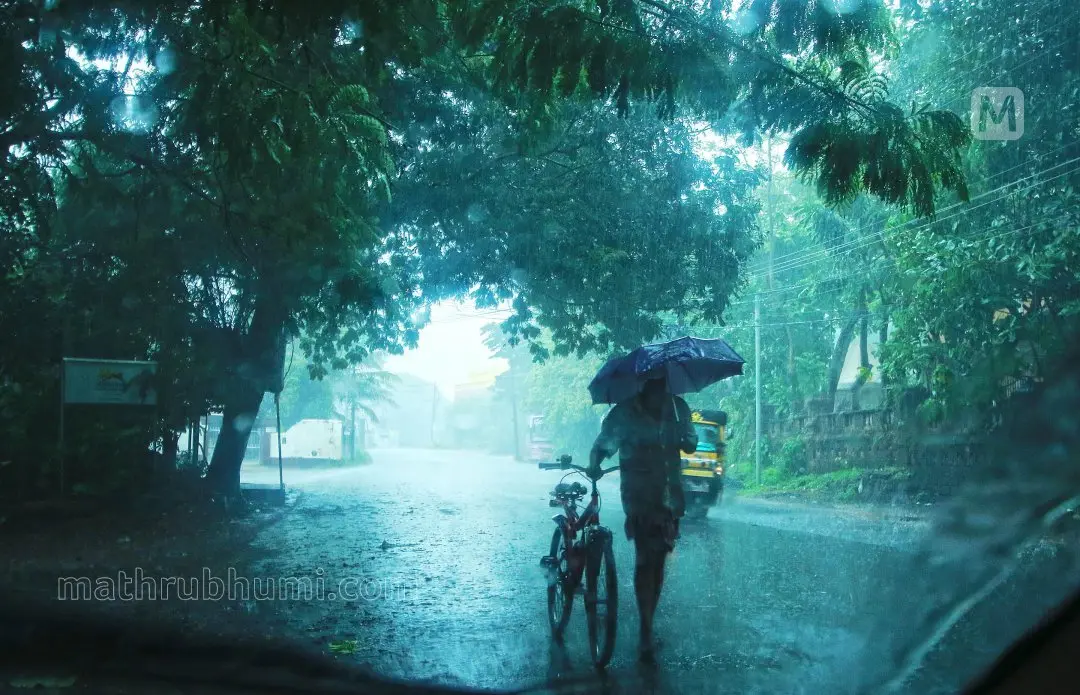 Heavy rain in Kerala | Photo: Latheesh Poovathur | Mathrubhumi