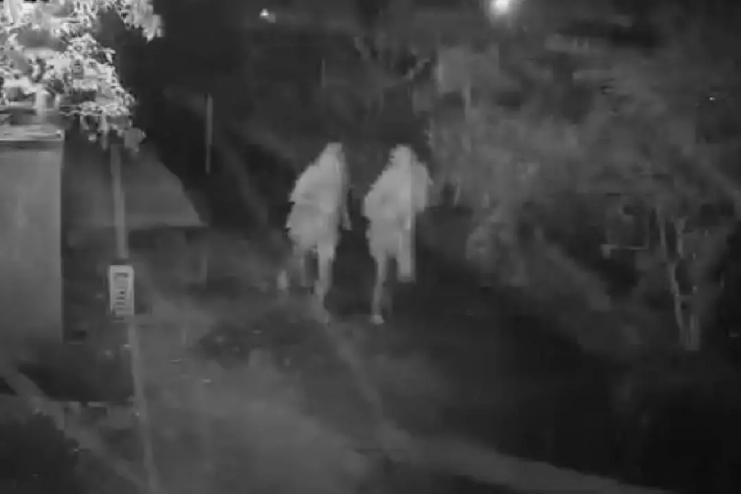CCTV footage shows suspected 'Kuruva' gang members on the run. | Photo: Arranged