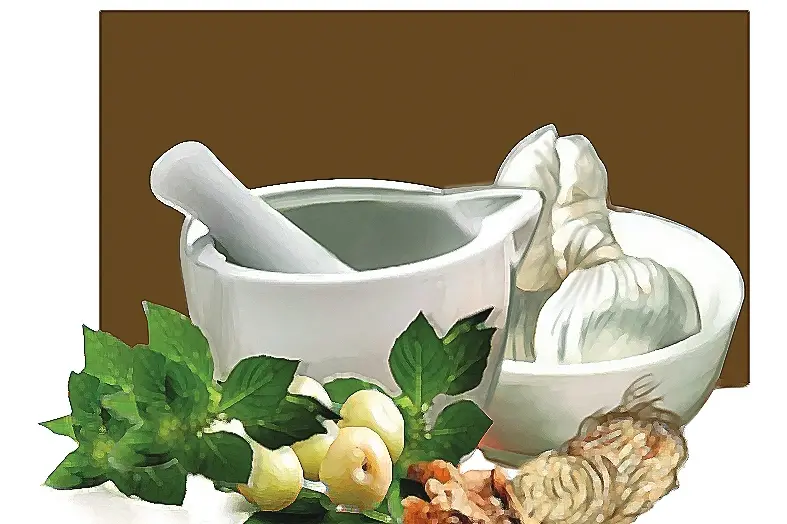 From drizzles to digestion: Ayurvedic wisdom for monsoon wellness