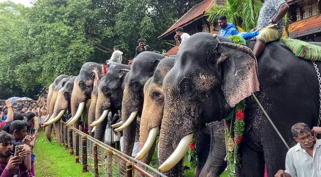 Representational Image | Photo: ANI