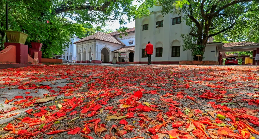 Kerala Sahitya Akademi, Thrissur | Photo: Manish Chemanchery