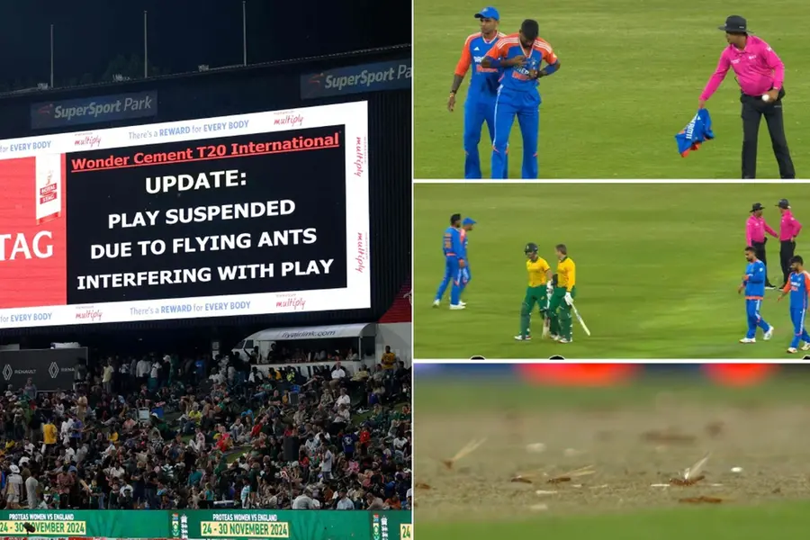 Flying ants interrupt India-South Africa match for half an hour
