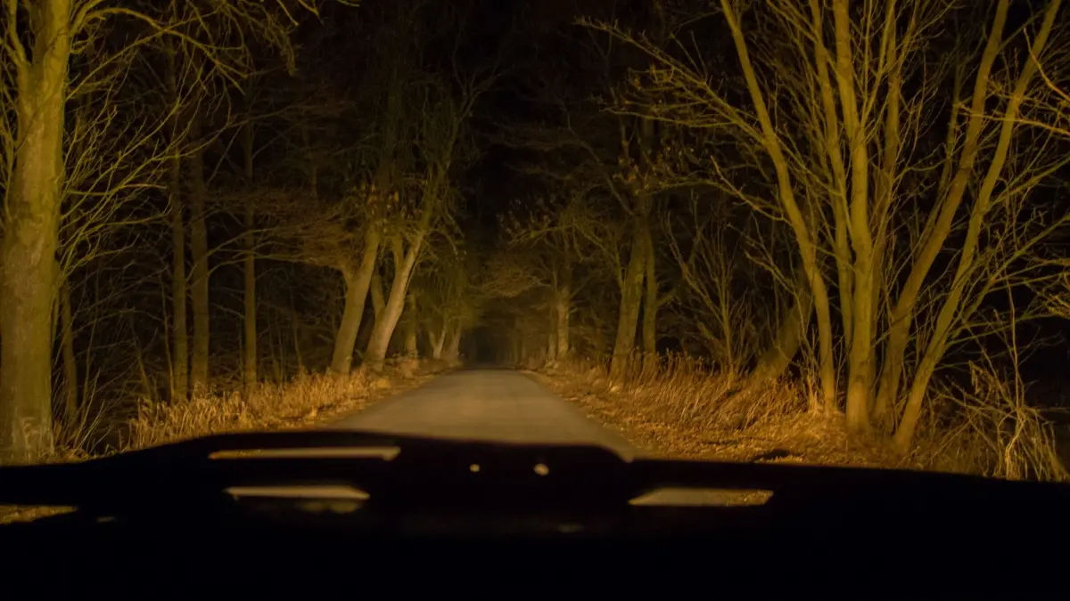 Representational image | Photo: Canva