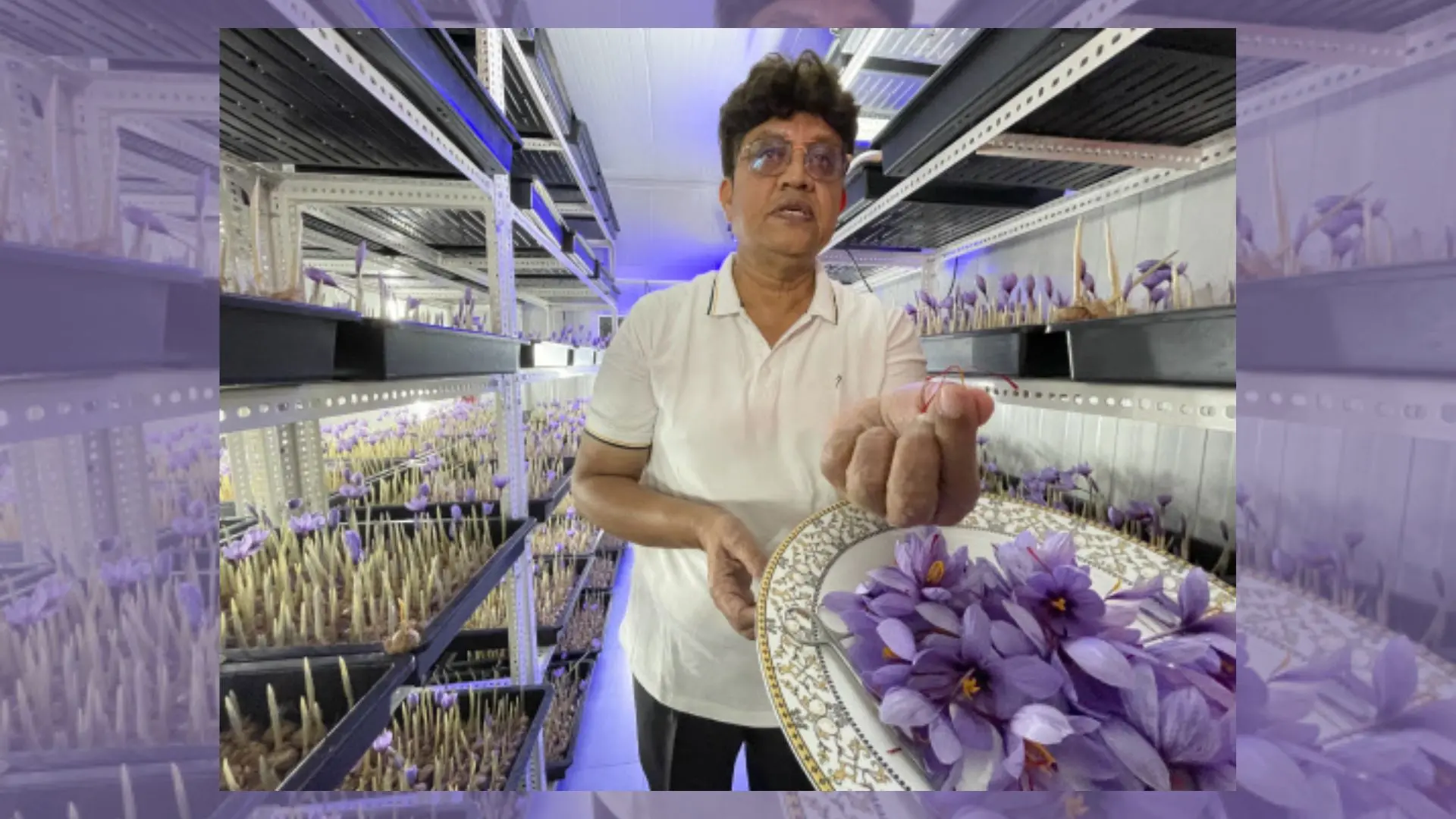 Anil Jaiswal, a progressive farmer, grows saffron in his home using aeroponics method
