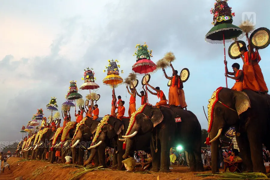 Kerala's elephant-driven festivals face scrutiny amid new recommendations