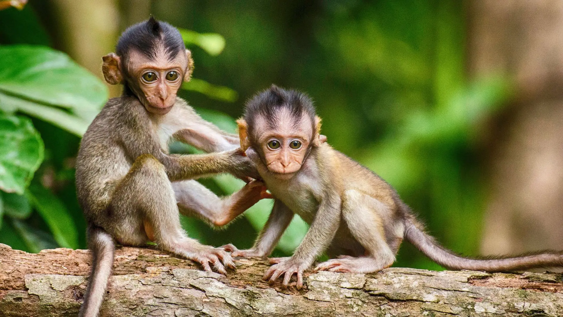 Representational Image | Canva