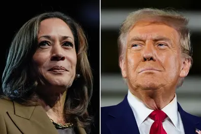 US presidential election: 7 key battleground states in the Harris-Trump showdown