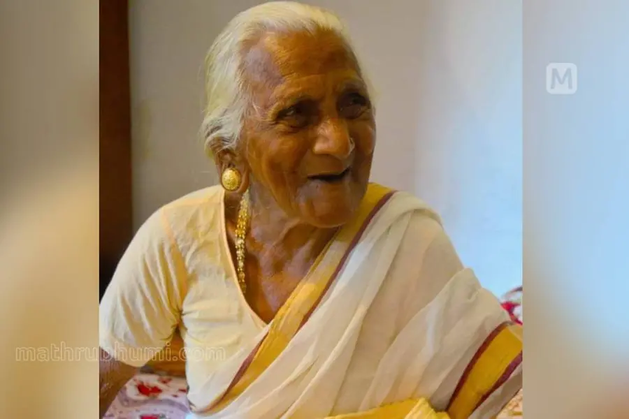 108-year-old woman, daughter die from wasp attack; two others hospitalised in Kottayam