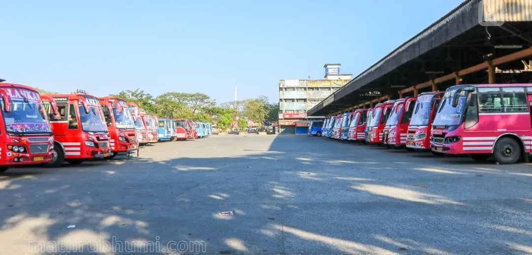 ഫോട്ടോ: ജെ. ഫിലിപ്പ് / മാതൃഭൂമി