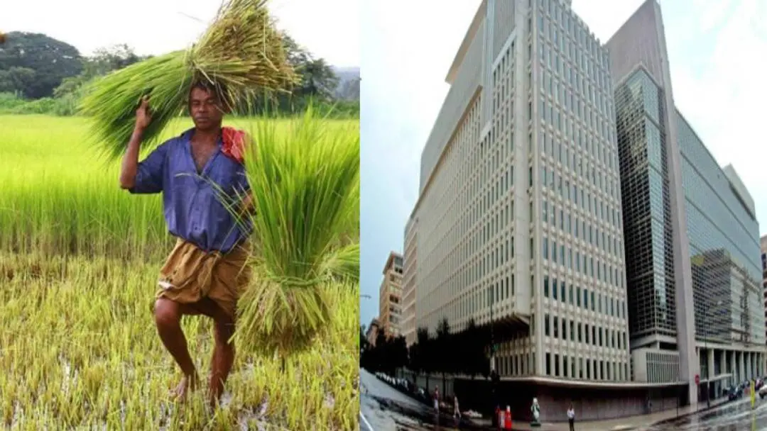 From(L) Farmer in Kerala; World Bank | File Photos/Agencies