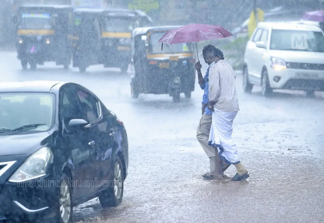 Representational Image | Photo: Ajith Shankaran/Mathrubhumi