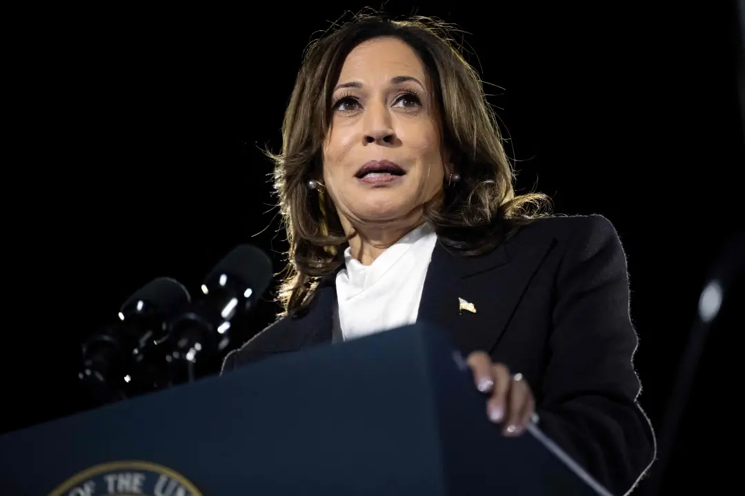Kamala Harris speaks on The Ellipse just south of the White House in Washington DC | Photo: AFP