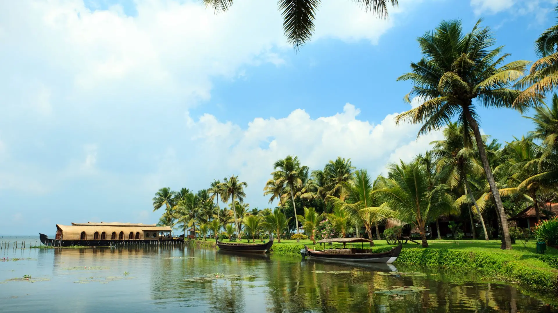 Representational Image | Canva