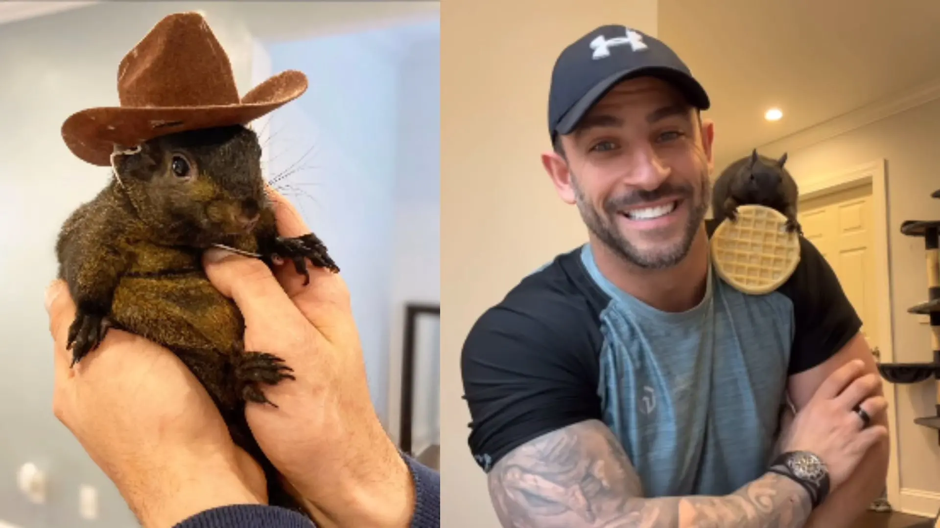 Peanut The Squirrel