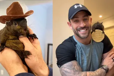 Don’t know if he’s alive: NY man pleads for return of Insta-fame squirrel seized by authorities