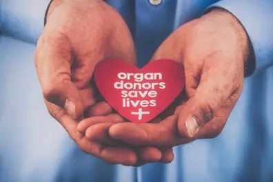 Lifeline for life-savers: Kerala Government explores insurance coverage for organ donors