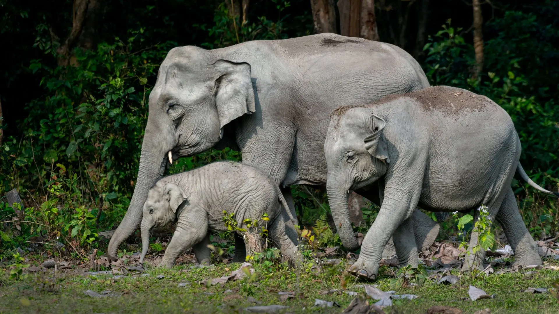 Representational Image | Canva