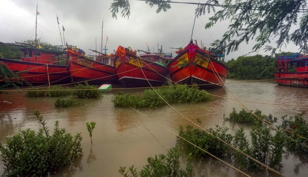 Fishing trawalers anchored ahead of cyclone 'Dana' landfall in Bhadrak district | Photo: PTI