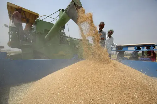 Price hike: India bans wheat exports with immediate effect
