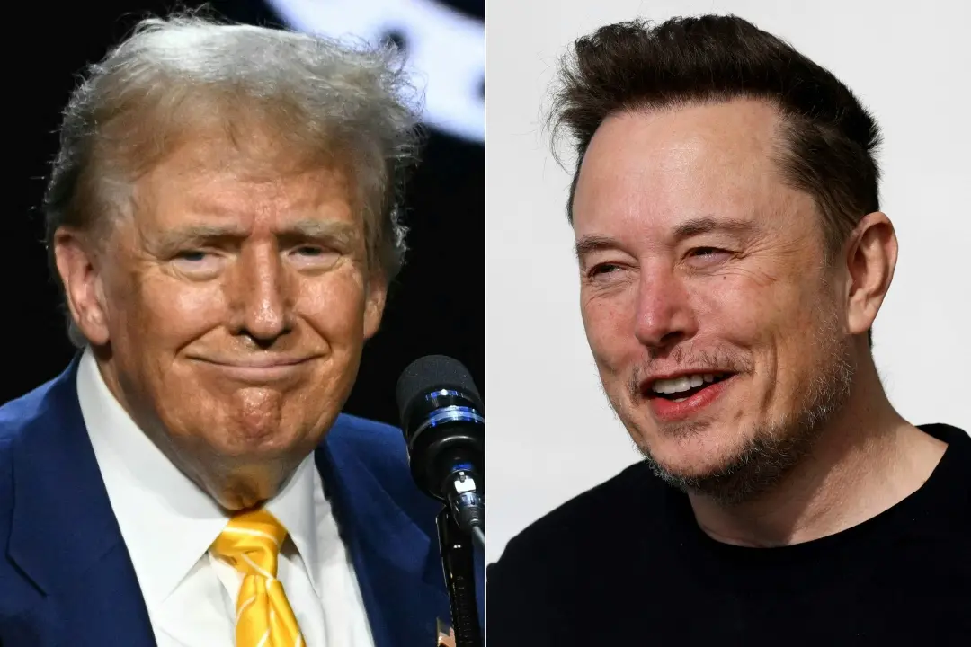 Former US president Donald Trump, Elon Musk
