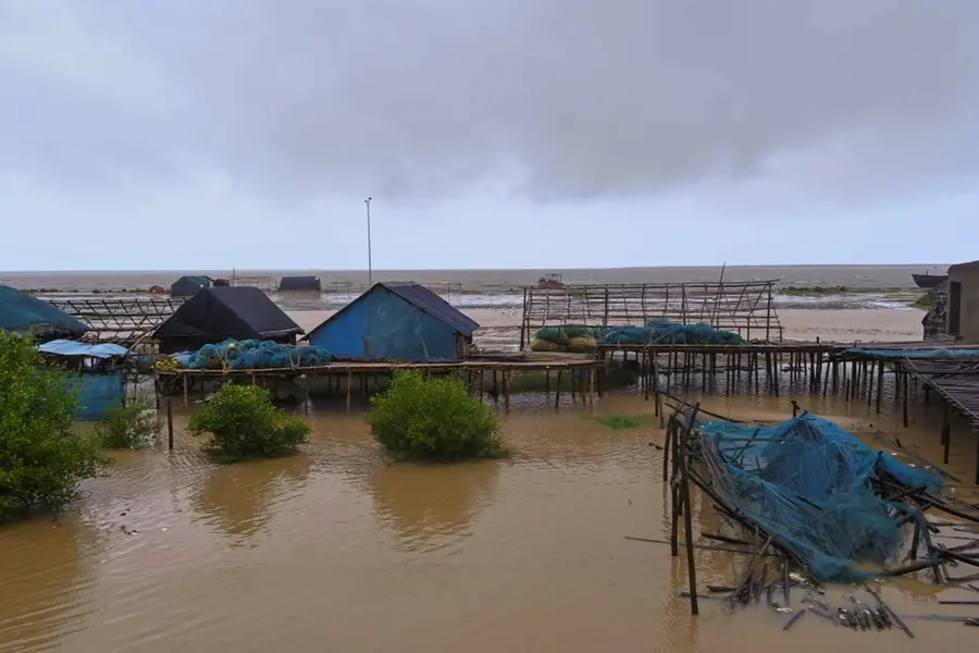 Cyclone Dana makes landfall after midnight: Gusty winds, extremely heavy rains lash Odisha | WATCH