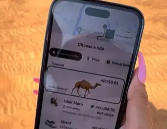 Woman ordering an Uber camel ride | Photo: Instagram / JETSET DUBAI