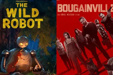 Box Office Report: 'The Wild Robot' tops charts as 'Bougainvillea' builds momentum