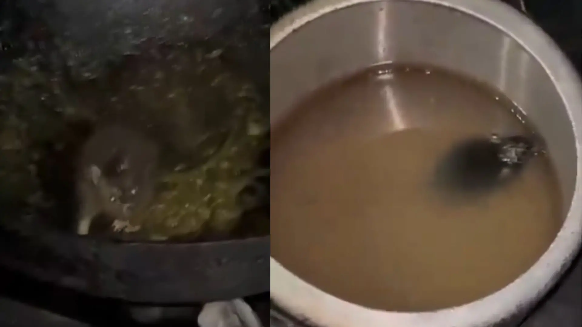 Rats in food at IIT Roorkee | Photo: X