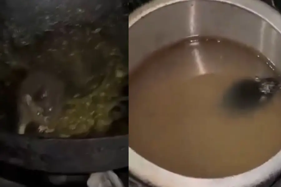 IIT Roorkee under fire after rats seen in hostel food; administration denies contamination | WATCH