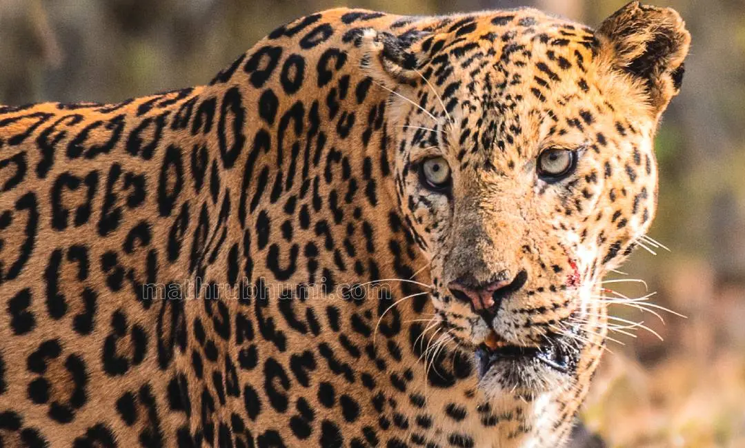 പ്രതീകാത്മക ചിത്രം | ഫോട്ടോ: എന്‍.എ നസീര്‍